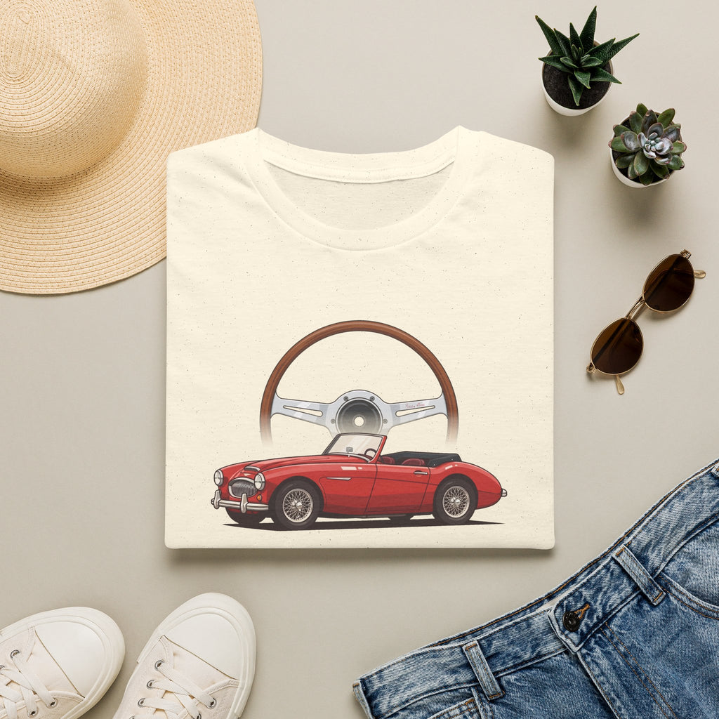 A Special Healey